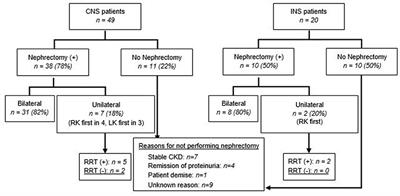 Clinical presentation and management of nephrotic syndrome in the first year of life: A report from the Pediatric Nephrology Research Consortium